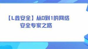 老鑫安全 - 从0到1的网络安全专家之路 二进制安全和Web安全