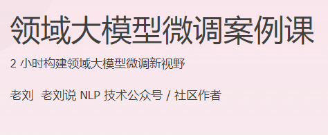 极客时间 - 领域大模型微调案例课