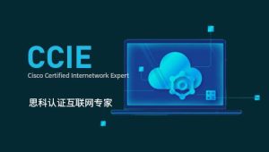 新盟康 - CCIE-LAB录屏-37期