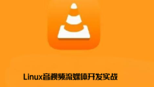 零声 - Linux音视频流媒体开发实战TCP_UDP_RTSP_RTMP_P2P_WebRTC