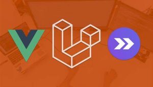 Laravel 11, Vue 3 & Inertia (2024) – Build APIs and SPAs