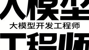 聚客 - 大模型开发工程师VIP系统课（第五期L0、L1、L2课程）