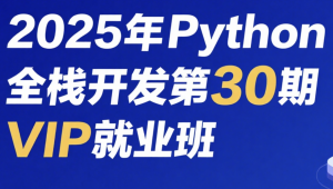 老男孩 - 2025年Python全栈开发第30期VIP就业班