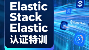Elastic Stack&Elastic认证特训
