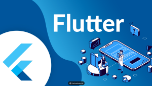  Flutter女装商城实战（完整代码）