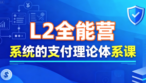 支付学院L2全能营，系统的支付理论体系课