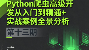 Python爬虫高级开发从入门到精通+实战案例全景分析（第十三期）