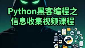 Python黑客编程之信息收集视频课程