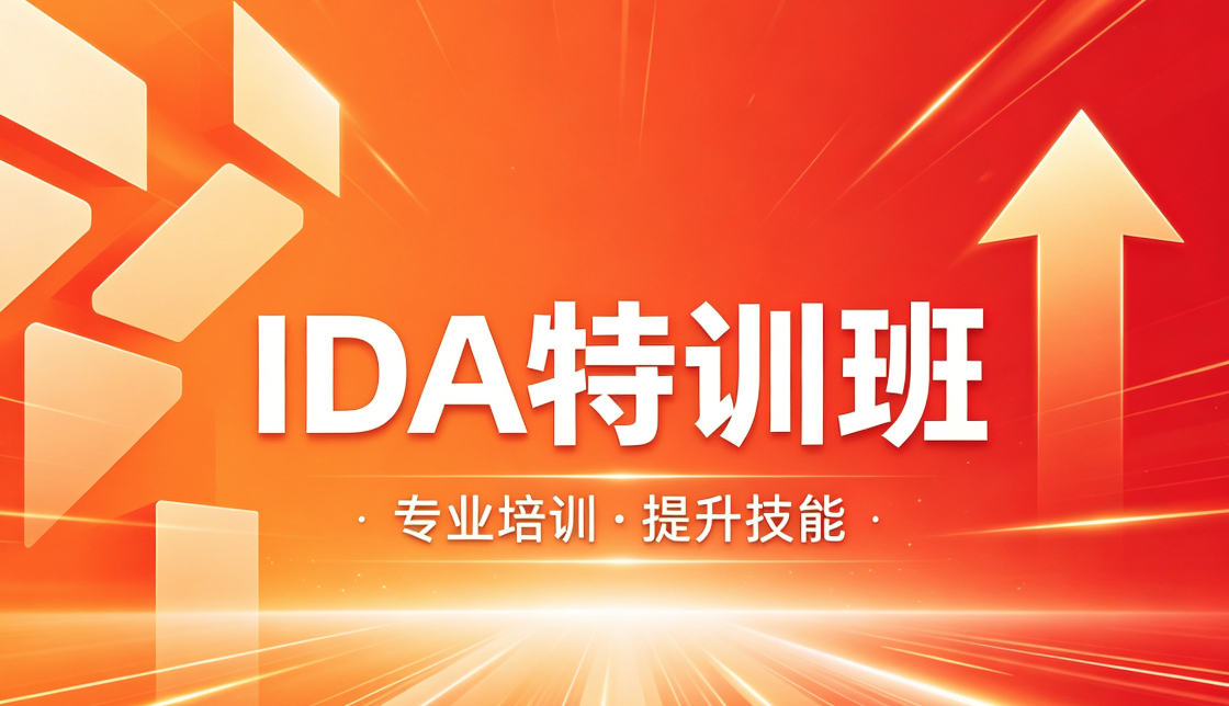  IDA特训班