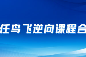 任鸟飞逆向合集(完结无密)