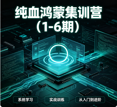 纯血鸿蒙集训营（1-6期）