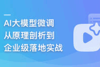 AI大模型微调，从原理剖析到企业级落地实战（完结）